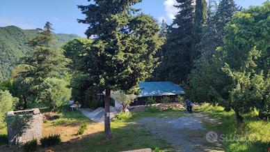 Terreno idilliaco, carrabile 8KM da Genova centro