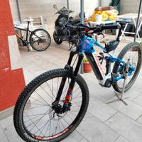 e-mtb megamo