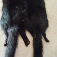 stola da collo pelliccia visone