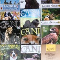 Collezione riviste i CANI, la CACCIA e la NATURA