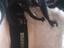 Immagine 4