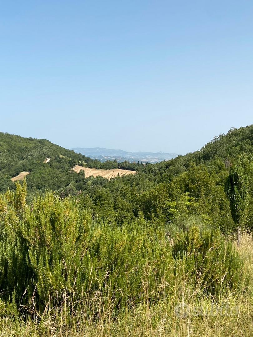 Urbino Zona Tufo 40 ettari di terra - Vista 5