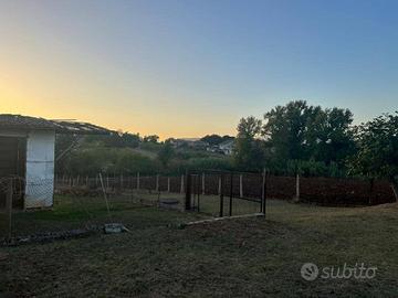 Terreno di 9800 m² a Alatri