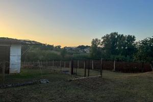Terreno di 9800 m² a Alatri