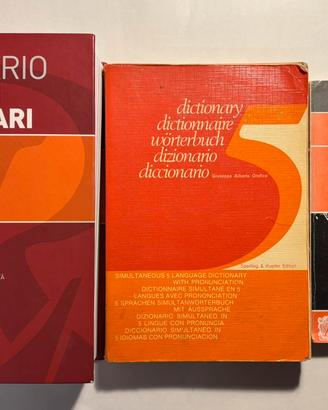 Lotto di 3 Dizionari
