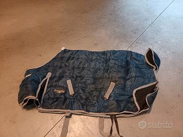 Coperte cavalli