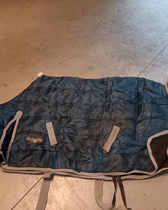 Coperte cavalli