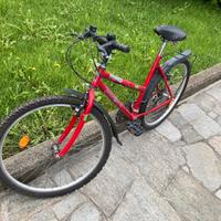 Bici tipo MTB