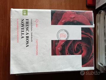 libri di letteratura italiana usati