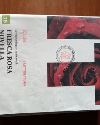 libri di letteratura italiana usati