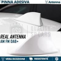 Antenna PINNA SQUALO BIANCA per PEUGEOT VERO SEGNA