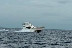 Bertram 43 convertible