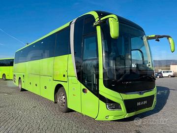 Man Lion's Coach