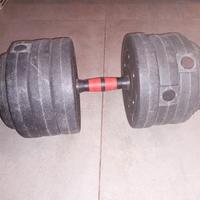 manubrio regolabile per palestra 