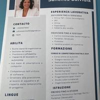 Progettista