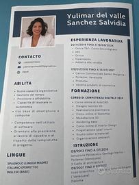 Progettista