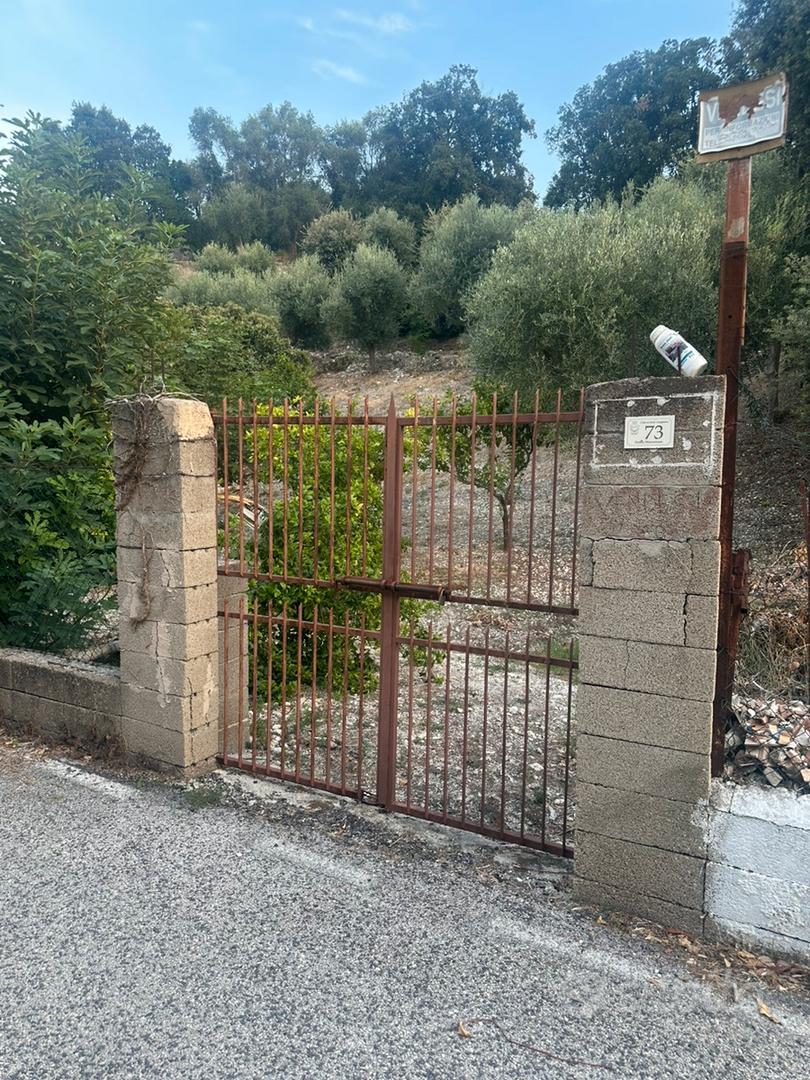 Terreno agricolo - Vista 2