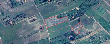 Terreno Agricolo Ideale per fotovoltaico