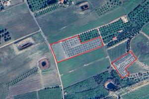 Terreno Agricolo Ideale per fotovoltaico