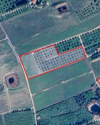 Terreno Agricolo Ideale per fotovoltaico