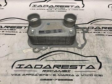 Radiatore Olio BMW Serie 3 E90 X1 11427802113