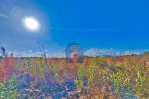 Triscina Terreno Agricolo In Zona Circonvallazione
