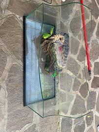 Tartarughiera in vetro