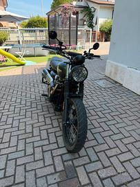 Triumph street scrambler 900