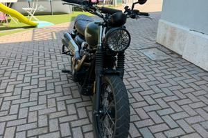 Triumph street scrambler 900