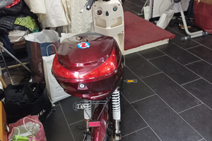 Motore elettrico con pedalata assistita