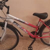 BICI NETBIKE 26