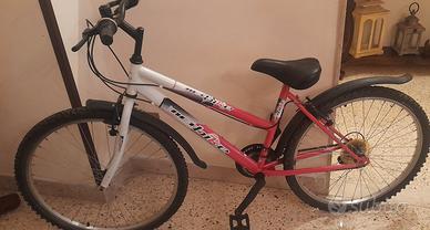 BICI NETBIKE 26