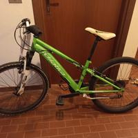 Mountain Bike bambino.
