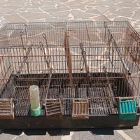 Gabbia per uccellini