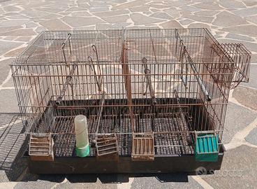 Gabbia per uccellini