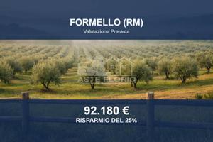 Immobile in asta di 59300 m² a Formello