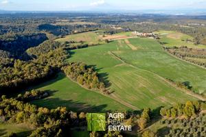 Terreno agricolo 18 ettari con fabbricato diruto