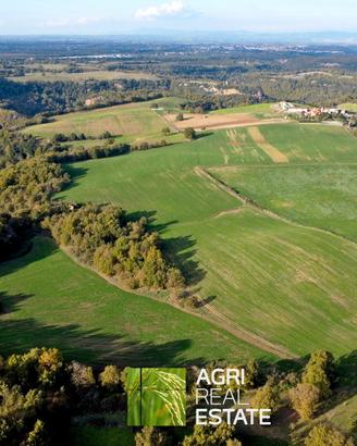 Terreno agricolo 18 ettari con fabbricato diruto