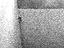 Immagine 22