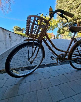 bicicletta 