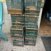 Gabbie Richiamo-Caccia