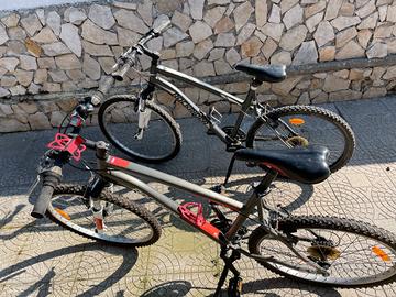 bicicletta 