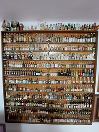 Collezione di bottiglie mignon di liquore