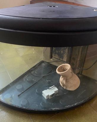 Acquario ad Angolo 100 lt ca