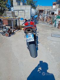Honda CBR 600 RR