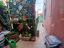 Immagine 15