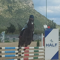 Pony da salto