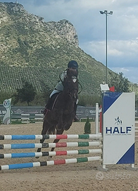 Pony da salto