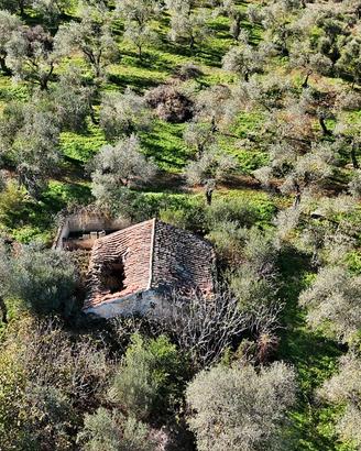 Li punti - terreno con rudere