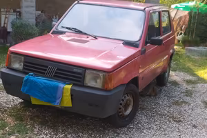 panda 1000